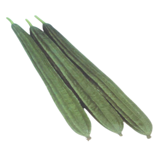 Ratan Ridge Gourd From Known You Seed (India)-KYI